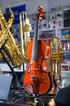 Violin at the music store