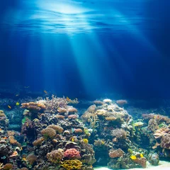 Fototapete Unterwasserwelt Meer oder Ozean Unterwasser-Korallenriff schnorcheln oder tauchen TERGRU  © Andrey Kuzmin