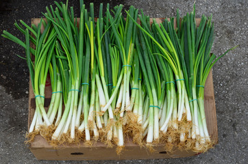 Spring onions