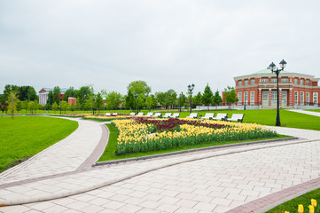 Fototapeta premium Green city park in sunny summer day