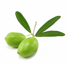 Fresh olive branch - 63764042
