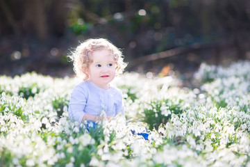 Adorable curly toddler girl playing with first spring flowers