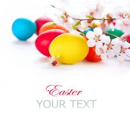 Easter. Colorful easter eggs with spring blossom flowers