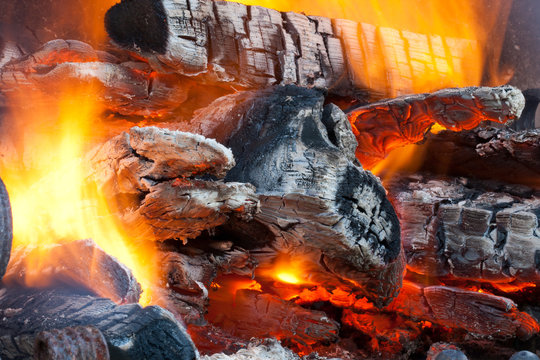 Wood logs burning in the fireplace