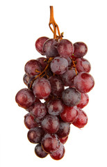 red grapes isolated on white background