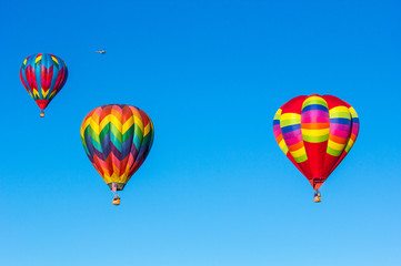 Hot air balloons