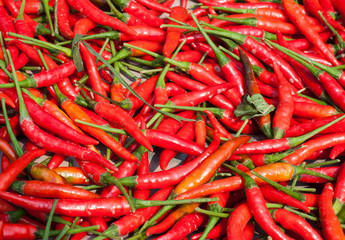 Red chili background