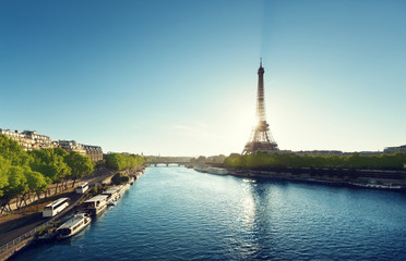 Fototapeta na wymiar Eiffel tower in sunrise time