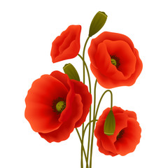 Naklejka premium Poppy flower poster