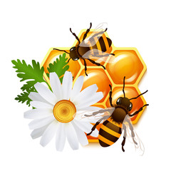 Honeycomb bee flowers emblem
