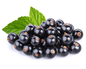 black currant berries