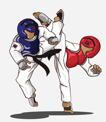 Taekwondo sparring. Martial art