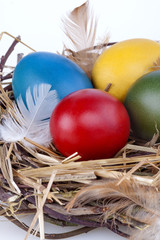 Colourful Easter eggs in a nest on white background