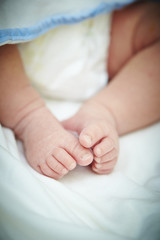 Feet of newborn