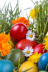 Colourful Easter eggs in the grass and flowers