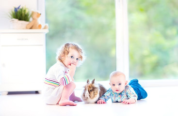 Cute little baby and his toddler sister playing with a bunny