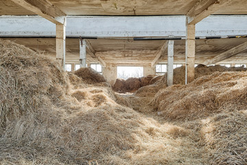 Old, abandoned and forgotten barn