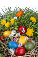 Fototapeta na wymiar Colorful Easter eggs in the grass and flowers