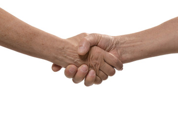 Handshake isolated on a white