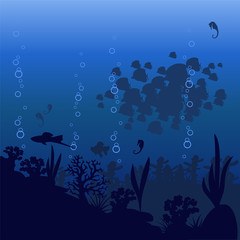 Vector illustration of sea fish on a blue background