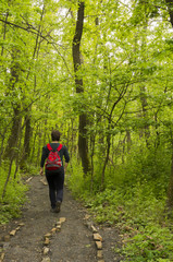 Fototapeta premium Young Girl Trekking In Forest.
