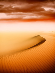Sand dunes at sunset in the Sahara Desert