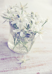 White Lilies, vintage