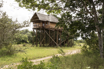 giant wooden house  on poles