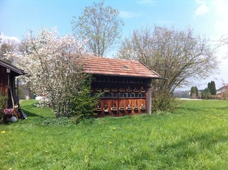 Fototapete bei efototapeten.de bestellen   