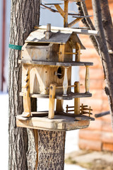 Birdhouse for the birds