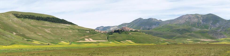 Castelluccio di Norcia. Cultivation of lentils