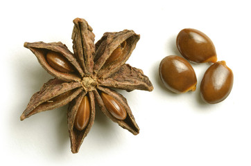 Illicium verum Star anise चक्रफूल 팔각