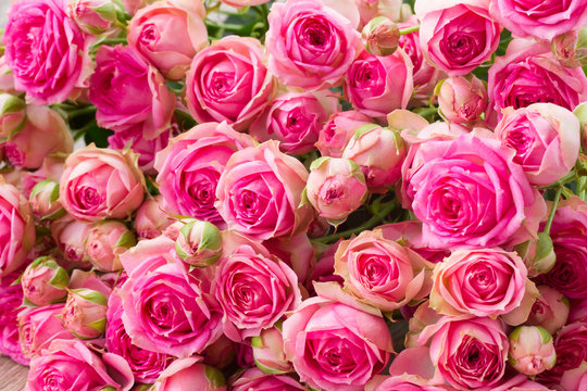 bouquet of pink roses