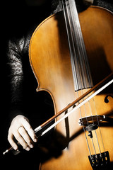 Cello orchestra instruments