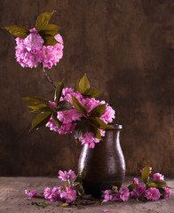 Sakura in a vase