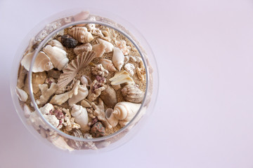 sand and shells in a glass on white background