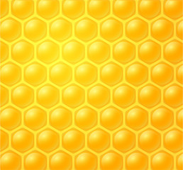 honey making in honeycombs