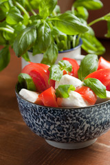 Caprese salad