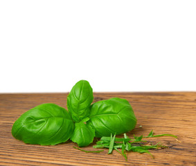 Basil isolated