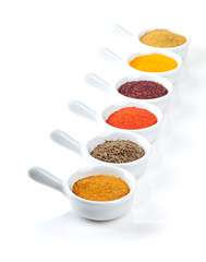 Various spices selection