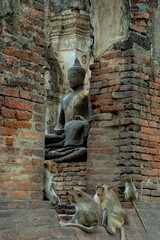 Monkey Temple - Lopburi