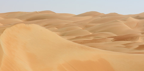Fototapeta na wymiar Desert panorama Liwa dunes