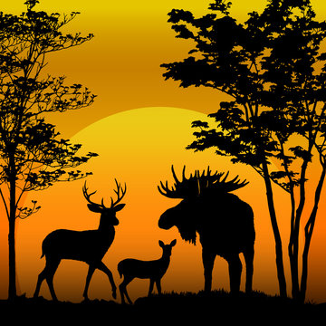Deer and moose silhouette