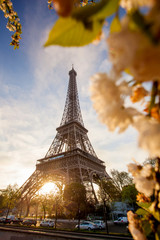 Eiffel Tower during spring time in Paris, France