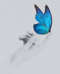 butterfly on woman's hand. In motion