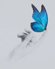 Crédence de cuisine en verre imprimé Papillon papillon sur la main de la femme. En mouvement