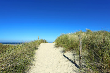 Fototapeta premium Weg zum Meer