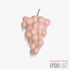vector illustration of isolated grape.