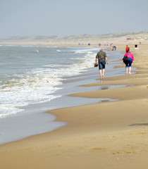 Coast of the North sea in Netherlands near dunes Meijendel