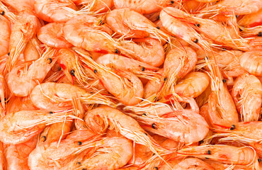 Shrimp cocktail background